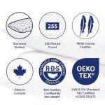 Canadian Down & Feather Co. - Quilted White Goose Feather Body Pillow 48" Long - 255 TC Shell 100% Cotton - Filled in Canada