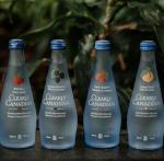 Clearly Canadian Sparkling Flavored Water, 11 oz Glass Bottles – Variety of Refreshing Flavors, Premium Carbonated Beverage, Available in 12-Pack and 24-Pack Options (12 Pack, 12 Pack Variety)