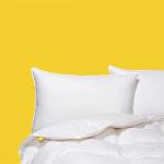 Canadian Down & Feather Co - Medium Support Down Perfect White Feather & Down Pillow King Size - 255 TC Shell 100% Cotton - Oeko TEX Certified