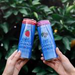 Clearly Canadian Mountain Blackberry Cans Sparkling Water, 24-Pack (Regular & Zero) – Assorted Flavors & Variety Packs – Refreshingly Pure and Naturally Flavored Carbonated Drink