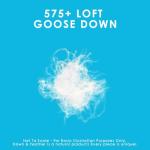 Canadian Down & Feather Co. - 1 Pack Soft Support White Goose Down Pillow Standard Size - 260 TC Shell 100% Cotton - Filled in Canada