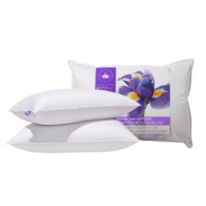 Canadian Down & Feather Co. - 2 Pack Medium Support Hutterite Goose Down Pillow Queen Size - 400 TC Shell 100% Cotton - Made in Canada