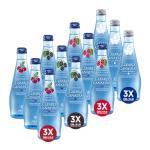 Clearly Canadian Sparkling Flavored Water, 11 oz Glass Bottles – Variety of Refreshing Flavors, Premium Carbonated Beverage, Available in 12-Pack and 24-Pack Options (12 Pack, Sparkling Variety)