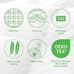Canadian Down & Feather Co. - Down Perfect Feather Bed Double Size - 255 TC Shell 100% Cotton Mattress Topper - Oeko TEX Certified…