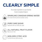 Clearly Canadian Sparkling Flavored Water, 11 oz Glass Bottles – Variety of Refreshing Flavors, Premium Carbonated Beverage, Available in 12-Pack and 24-Pack Options (12 Pack, Mountain Blackberry)