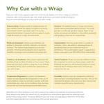 ASKA L2 2-Piece Pool Cue Stick, 58-inches Hard Rock Canadian Maple, 13mm Hard Tip (21-Ounce, White)