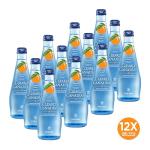 Clearly Canadian Orchard Peach Sparkling Spring Water Beverage, Natural & Carbonated, Flavored Seltzer Water, 1 Case (12 Bottles x 325mL)