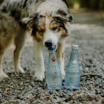 Clearly Canadian Wild Cherry Sparkling Spring Water Beverage, Natural & Carbonated, Flavored Seltzer Water, 1 Case (12 Bottles x 325mL)
