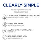 Clearly Canadian Wild Cherry Sparkling Spring Water Beverage, Natural & Carbonated, Flavored Seltzer Water, 1 Case (12 Bottles x 325mL)