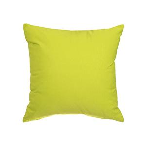 Gouchee Home Soleil Square Indoor/Outdoor Fade Resistant Water Resistant Cushion 18" x 18" Green