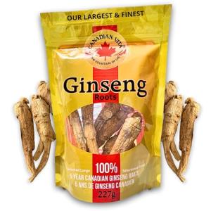 Canadian Vita Ginseng Root - Premium Large Canadian Ginseng Roots 227g | 5-Year Dried Roots for Ginseng Soup - Authentic Herbal Supplement for Energy, Focus & Immunity