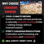 Canadian Vita Ginseng Root - Premium Large Canadian Ginseng Roots 227g | 5-Year Dried Roots for Ginseng Soup - Authentic Herbal Supplement for Energy, Focus & Immunity
