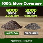 HOME GROWN American Legion Red Poppy Seeds - 6,000 Vibrant Wildflower Seeds for Planting Outdoors - Perennial Poppy Flowers - Memorial Garden & Pollinator Friendly (Papaver rhoeas)