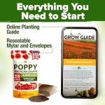 HOME GROWN American Legion Red Poppy Seeds - 6,000 Vibrant Wildflower Seeds for Planting Outdoors - Perennial Poppy Flowers - Memorial Garden & Pollinator Friendly (Papaver rhoeas)