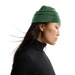 Arc'teryx Merino Wool Lightweight Beanie - Eden