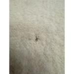 Vintage Hudson's Bay Point Blanket Wool Throw Blanket England Vintage Stripe