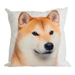 Gouchee Home Shiba Inu Dog Cushion 18" x 18"
