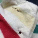 Vintage Hudson’s Bay Company 1930s four point wool blanket 64x78