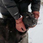 Watson Gloves Full-Grain Leather Winter Lined Ranch Gloves - Crazy Horse Heritage, Water Resistant, Comfortable, Warm Lining