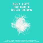 Canadian Down & Feather Co. - All Season Weight 800 Loft Canadian Hutterite White Down Duvet King Size - 500 TC Shell 100% Cotton - Made in Canada