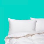 Canadian Down & Feather Co. - All Season Weight 800 Loft Canadian Hutterite White Down Duvet King Size - 500 TC Shell 100% Cotton - Made in Canada