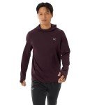 Arc'teryx Men's Cormac Heavyweight Hoody - Phantasm