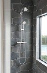 Grohe 27575002 Tempesta Cosmopolitan 2.5 GPM 4-Spray Hand Shower, Starlight Chrome