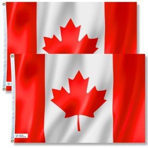 Canada Flag, Canada Flag 3x5, Canadian Flag - By ByFloProducts - Lightweight, 3'x5', 100% Polyester, Silk Printed, Bright And Vivid Colors, Brass Grommets, Double Stitching, 100% Canadian Business (Polyester - Canada Pack of 2)