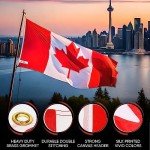 Canada Flag, Canada Flag 3x5, Canadian Flag - By ByFloProducts - Lightweight, 3'x5', 100% Polyester, Silk Printed, Bright And Vivid Colors, Brass Grommets, Double Stitching, 100% Canadian Business (Polyester - Canada Pack of 2)