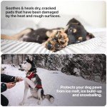 SÄKER Dog Paw Balm for Winter | Veterinarian-Approved Paw Protection for Dogs for Cold Snow | Handmade in Canada | Paw Soother Safe to Lick for Dry, Cracked, and Rough Paws (2oz)
