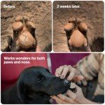 SÄKER Dog Paw Balm for Winter | Veterinarian-Approved Paw Protection for Dogs for Cold Snow | Handmade in Canada | Paw Soother Safe to Lick for Dry, Cracked, and Rough Paws (2oz)