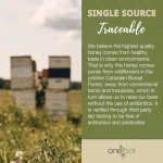 ONEROOT Raw Honey Unpasteurized | Boreal Forest Raw Wildflower Honey | Creamed, 100% Farmed & Packed in Canada | Single Source Pure, Unpasteurized & Unfiltered (500g)