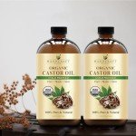 Handcraft Blends Cold-Pressed Organic Castor Oil in Glass Bottle - 473 ml - 100% Pure and Natural - Premium Grade Oil for Hair, Eyelashes and Eyebrows - Carrier Oil - Hair and Body Oil