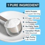 Landish Pure Canadian Marine Collagen Peptides Powder - Whole-Body Benefits & Joint Support, For Women & Men - Hydrolyzed, Unflavoured, Ultra-Pure Protein Supplement - Fully Dissolves, 0 Carb & Sugar - Made in Canada - 250 g (30-Day Supply)