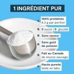 Landish Pure Canadian Marine Collagen Peptides Powder - Whole-Body Benefits & Joint Support, For Women & Men - Hydrolyzed, Unflavoured, Ultra-Pure Protein Supplement - Fully Dissolves, 0 Carb & Sugar - Made in Canada - 250 g (30-Day Supply)