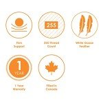 Canadian Down & Feather Co. – 2 Pack Firm Support White Goose Feather Pillow – 255 TC Shell 100% Cotton King Size – Filled in Canada