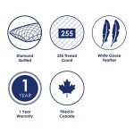 Canadian Down & Feather Co. - Quilted White Goose Feather Body Pillow 60" Long - 255 TC Shell 100% Cotton - Filled in Canada