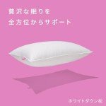 Canadian Down & Feather Co. - Medium Support White Down Pillow Standard Size - 260 TC Shell 100% Cotton - Filled in Canada