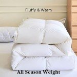 Royal Elite-Feather Down Duvet King Size-Made in Canada-Luxurious Oeko Tex Cotton Shell-Canadian Feather&Down Comforter-All Season Hotel Down Duvet Insert