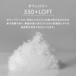 Canadian Down & Feather Co. - Medium Support White Down Pillow Standard Size - 260 TC Shell 100% Cotton - Filled in Canada