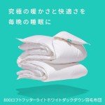 Canadian Down & Feather Co. - All Season Weight 800 Loft Canadian Hutterite White Down Duvet Queen Size - 500 TC Shell 100% Cotton - Made in Canada