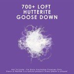 Canadian Down & Feather Co. - Firm Support Canadian Hutterite Goose Down Pillow King Size - 400 TC Shell 100% Cotton - Made in Canada