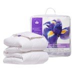 Canadian Down & Feather Co. - Regular Weight Canadian Hutterite Goose Down Duvet Queen Size - 400 TC Shell 100% Cotton - Made in Canada