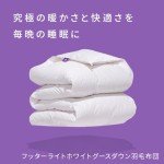 Canadian Down & Feather Co. - Regular Weight Canadian Hutterite Goose Down Duvet Queen Size - 400 TC Shell 100% Cotton - Made in Canada