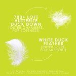 Canadian Down & Feather Co. - 2 Pack Medium Support Hutterite Down Perfect Pillow Queen Size - 400 TC Shell 100% Cotton - Made in Canada