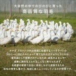 Canadian Down & Feather Co. - Regular Weight Hutterite White Down Duvet XL King Size - 400 TC Shell 100% Cotton - Made in Canada