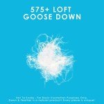 Canadian Down & Feather Co. - Medium Support White Goose Down Pillow Queen Size - 260 TC Shell 100% Cotton - Filled in Canada