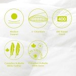 Canadian Down & Feather Co. - 2 Pack Medium Support Hutterite Down Perfect Pillow Queen Size - 400 TC Shell 100% Cotton - Made in Canada