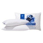 Canadian Down & Feather Co. - 2 Pack Medium Support Quilted White Goose Feather Pillow Queen Size - 255 TC Shell 100% Cotton - Filled in Canada