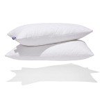 Canadian Down & Feather Co. - 2 Pack Medium Support Quilted White Goose Feather Pillow Queen Size - 255 TC Shell 100% Cotton - Filled in Canada